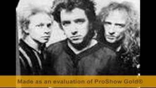 THE PROFESSIONALS  THE MAGNIFICENT