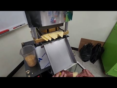 53mm Popped triangle corn chips machine SYP5306T Test by broken corn