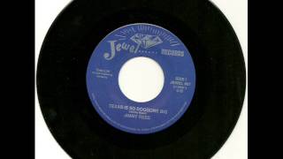 Jimmy Reed  - Texas Is So Doggone Big 1966