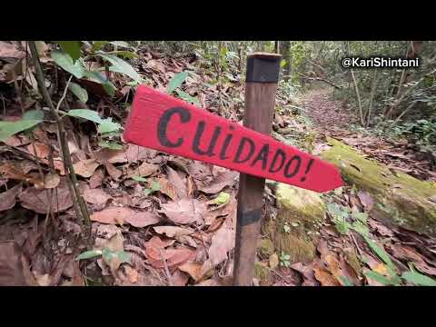 Parte 2 - Um Refúgio em Minas Gerais | Chalé, Queijo Canastra e Paisagens Incríveis