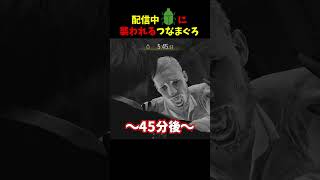 【バイオ9 レクイエム LEON MUST DIE】配信中にまさかの襲撃!?害虫駆除なんて聞いてないぞ【Resident Evil Requiem】