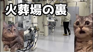 【猫ミーム】火葬場の裏側を覗いてみると！？葬儀社にアルバイトとして勤めていたお話その67