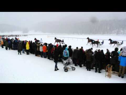 White Turf 2016 Saint Moritz