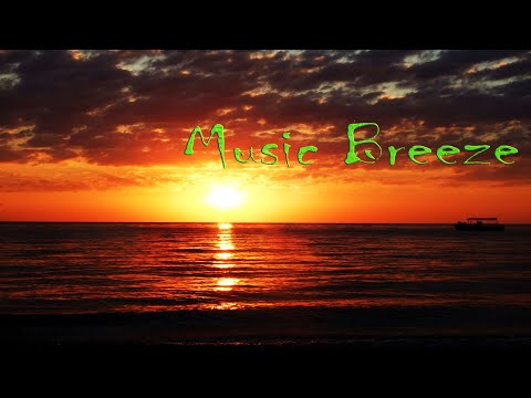 Maywave & Shell & Rafal Sentiel - Music  Breeze 008 (21-11-2020)