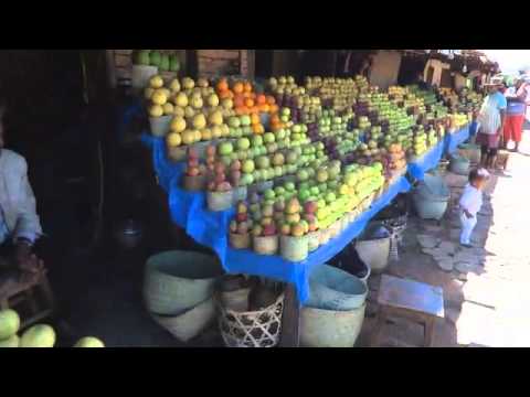 Des fruits à gogo à Madagascar avec les forêts alimentaires en Permaculture