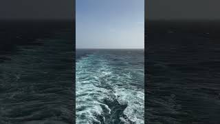 Big ship, gorgeous wake—pure cruise bliss aboard MSC World Europa. 🌊 #WakeviewWednesday #CruiseLife