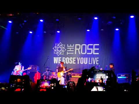 191114 The Rose (더 로즈) -  ̶S̶h̶e̶'̶s̶ ̶i̶n̶ ̶t̶h̶e̶ ̶R̶a̶i̶n̶ Isn't She Lovely in Amsterdam