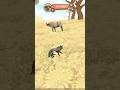 WildCraft Survival Wolf Pack Vs Buffalo Challenge Shorts Wildcraft