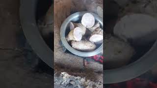 Download lagu cooking arrow root for breakfast #subscribe mp3