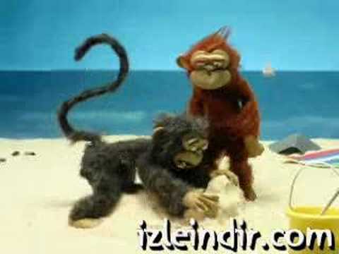 funny monkey animation