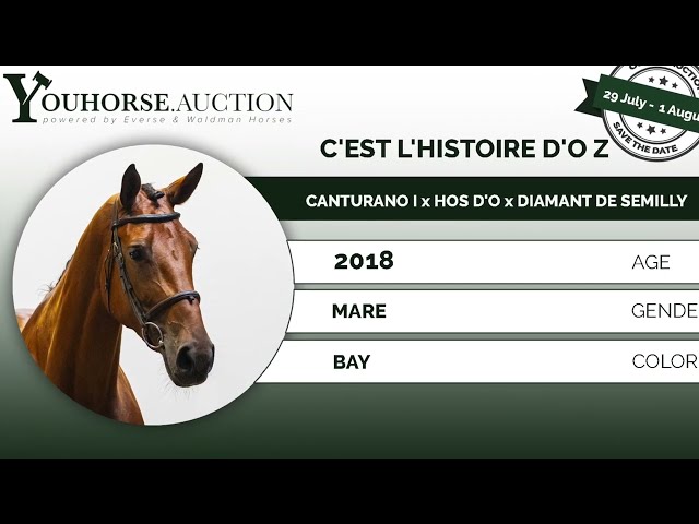 C’est L'Histoire D'O Z