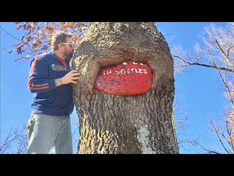 TDW 1714 - The Coca Cola Tree