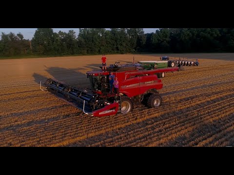 “Wheat Harvest” 2020 Griggs Farms LLC (4K)