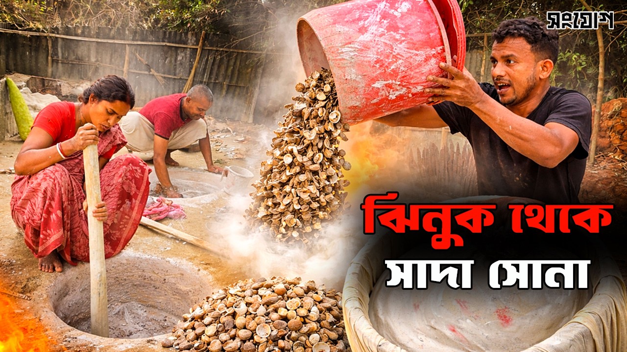 ঝিনুক পুড়িয়ে তৈরি হচ্ছে সাদা সোনা