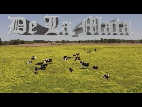 CRUDO MEANS RAW - DE LA MATA - VIDEO
