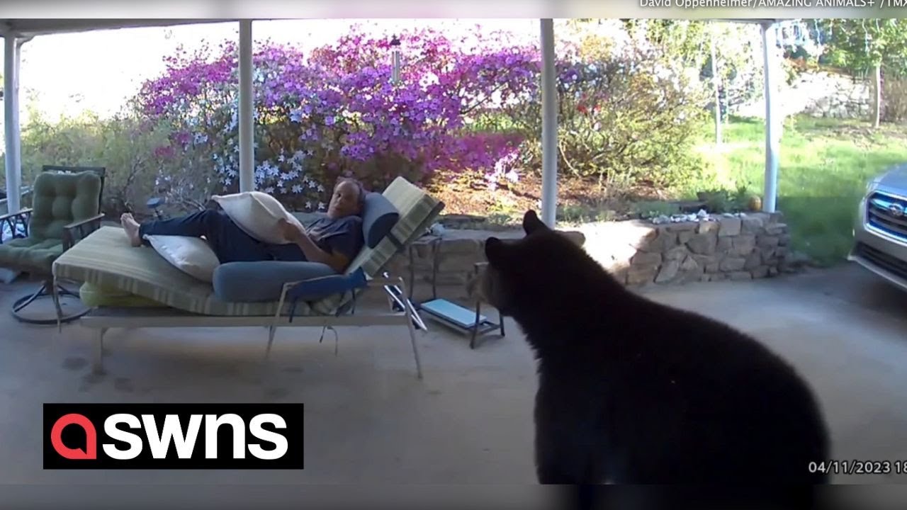 YouTube video preview