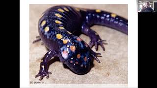 Chemical Defense in Poison Frogs