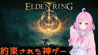 約束された神ゲー。エルデンリングをヘタレプレイ