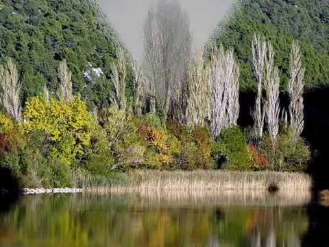 Oj visoki moj jablane - klapa Makarska