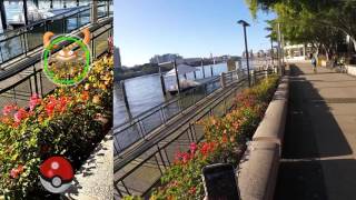Where is the best place to catch Pokemon Go? (Brisbane, Australia)