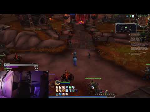 Lasst mich Arzt, ich bin durch! WoW Heiler Levelphase.