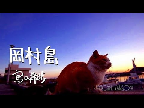 【岡村島（愛媛県今治市）】とびしま街道を通って広島まで車で行ける島。
