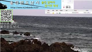 울진 실시간 파도영상 live webcam