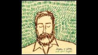 Iron &amp; Wine - Trapeze Swinger (Live Recording from Radio Vienna)