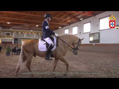 220129 29 Mozart - Aprovação de Garanhões