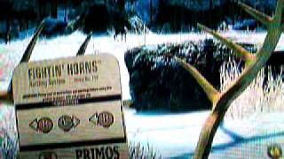 Cabela's Outdoor Adventure BC Last Hunt