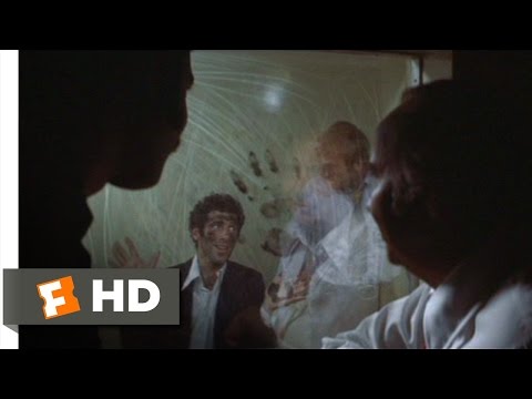 The Long Goodbye (1/10) Movie CLIP - Interrogation (1973) HD