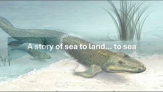 Going for a Swim: Influences of Terrestrial Ancestry on Land-to-Sea Transformations