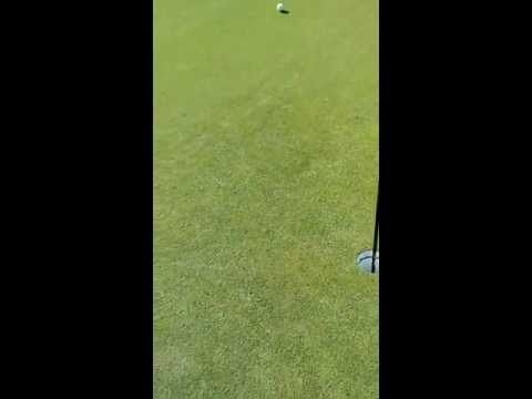 fastest greens on the planet