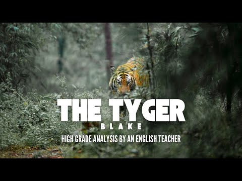 'The Tyger' by William Blake | High Grade Analysis by an English Teacher