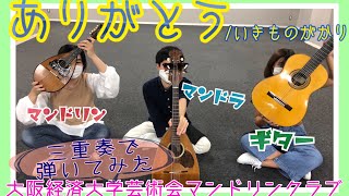 Download lagu 【弾いてみた】いきものがかり｢ありがとう｣【マンドリンアンサンブル 三重奏】 mp3