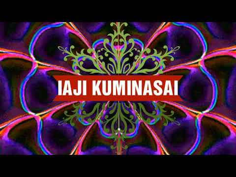 IAJI KUMINASAI (51) Udhin Liders