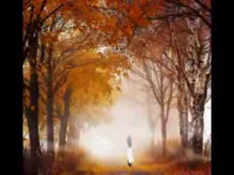 Mây chiều - Tâm Hảo