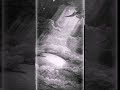Paradise Lost Animated