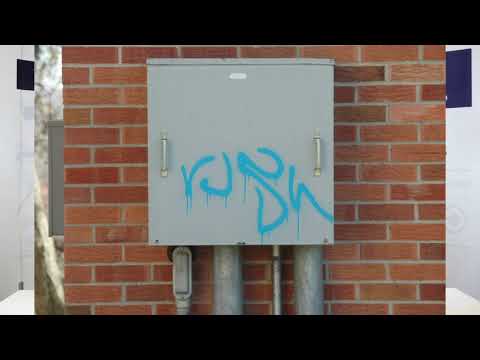 Enclosure Swing Out Panels