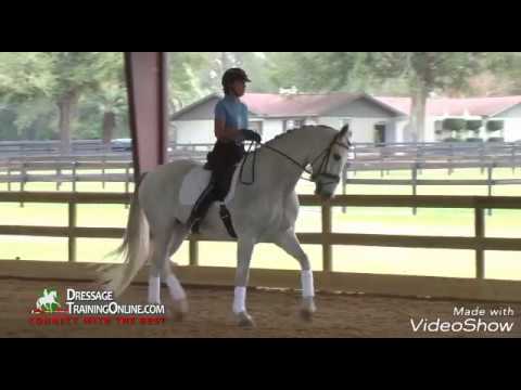 We Will Rock You//Equestrian video music Dressage
