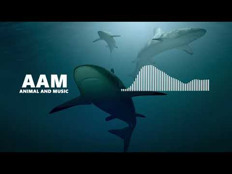 Floatinurboat x Chris Linton - Holding On