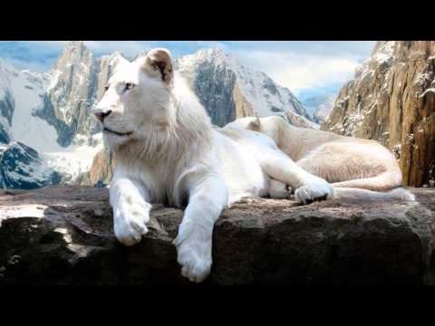 Immediate Music - A Life Extraordinary (2014) "Nu Epiq"