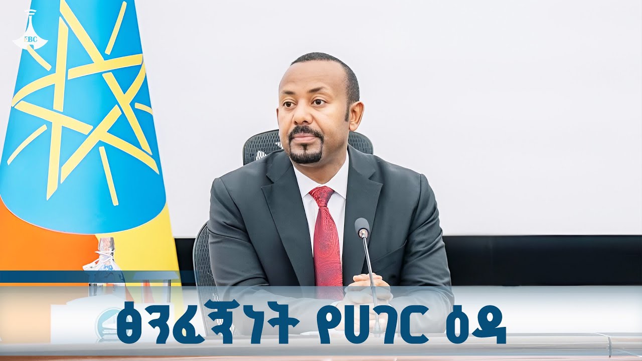 ፅንፈኛ ታጣቂዎች  የሚጎዱት እታገልልሀለው የሚሉትን ሕዝብ ነው፦ጠቅላይ ሚኒስትር ዐ?