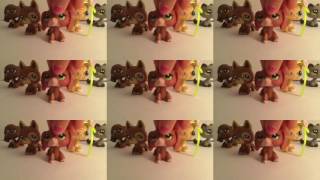 LPS MV: Crazy, Crazy by Madisyn Elise STOP ANTI BULLYING