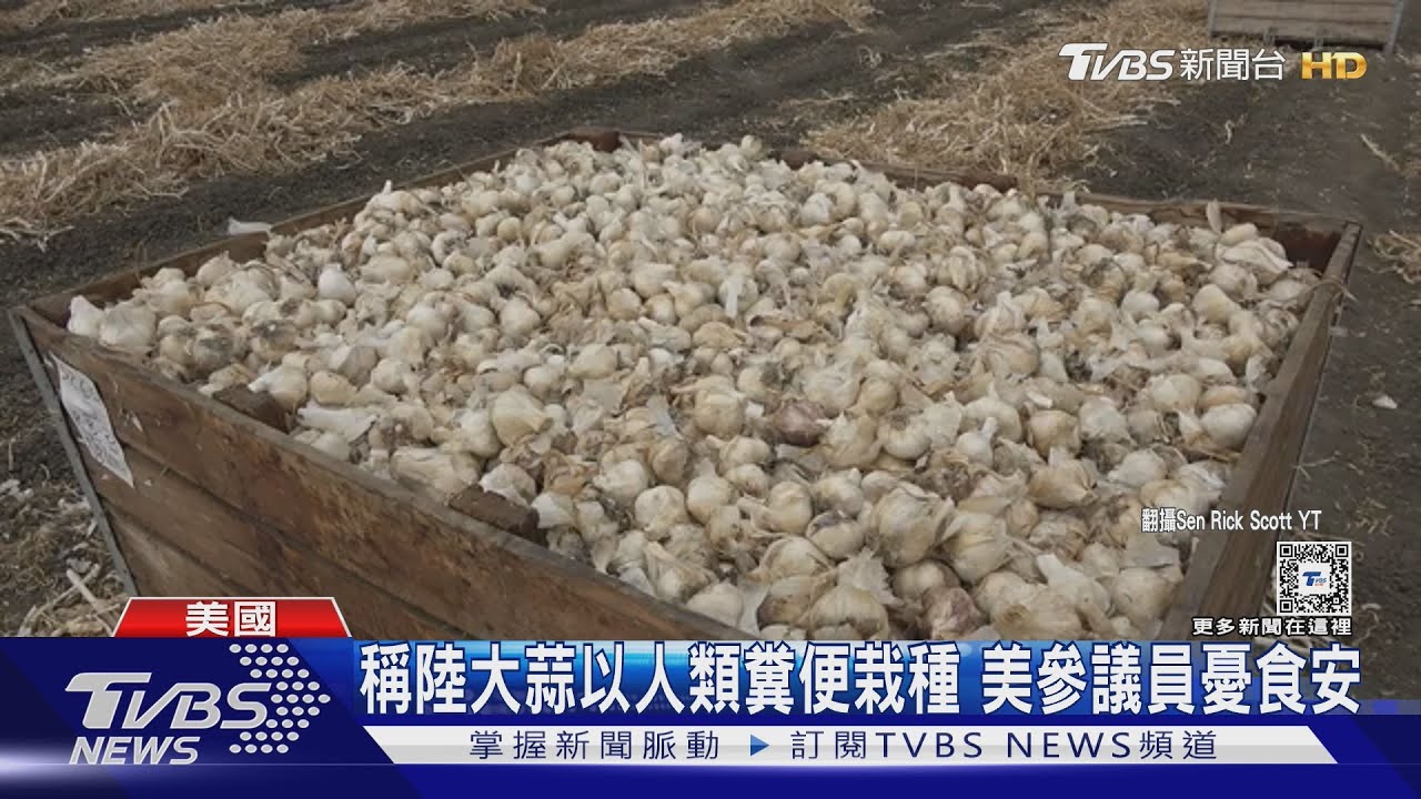 美軍超市禁中國大蒜!美議員批構成威脅 大陸外交部:大蒜做夢都沒想到