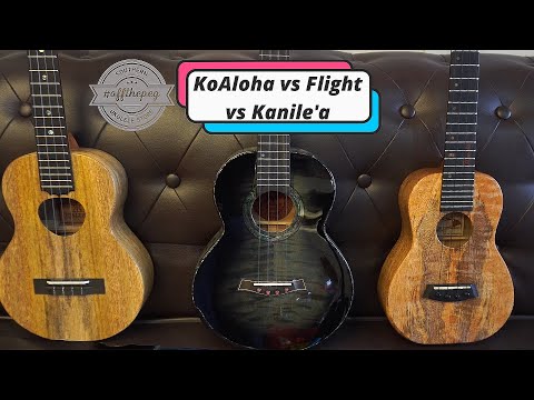 Comparing KoAloha, Flight and Kanile'a special models.