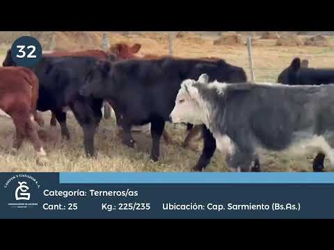 Lote M Y H- Cap. Sarmiento Bs As