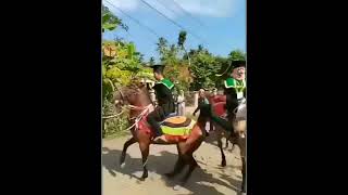 Download lagu kuda nya ngamuk mp3