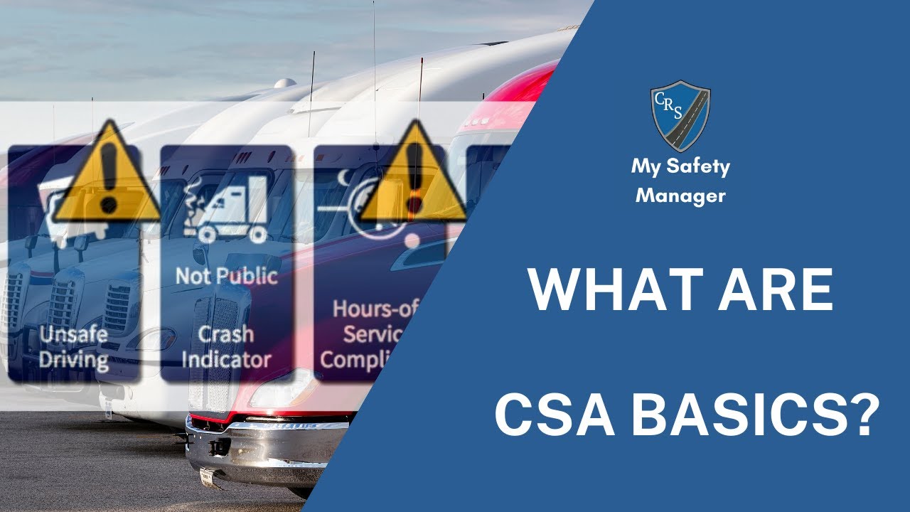 What are CSA BASICs?
