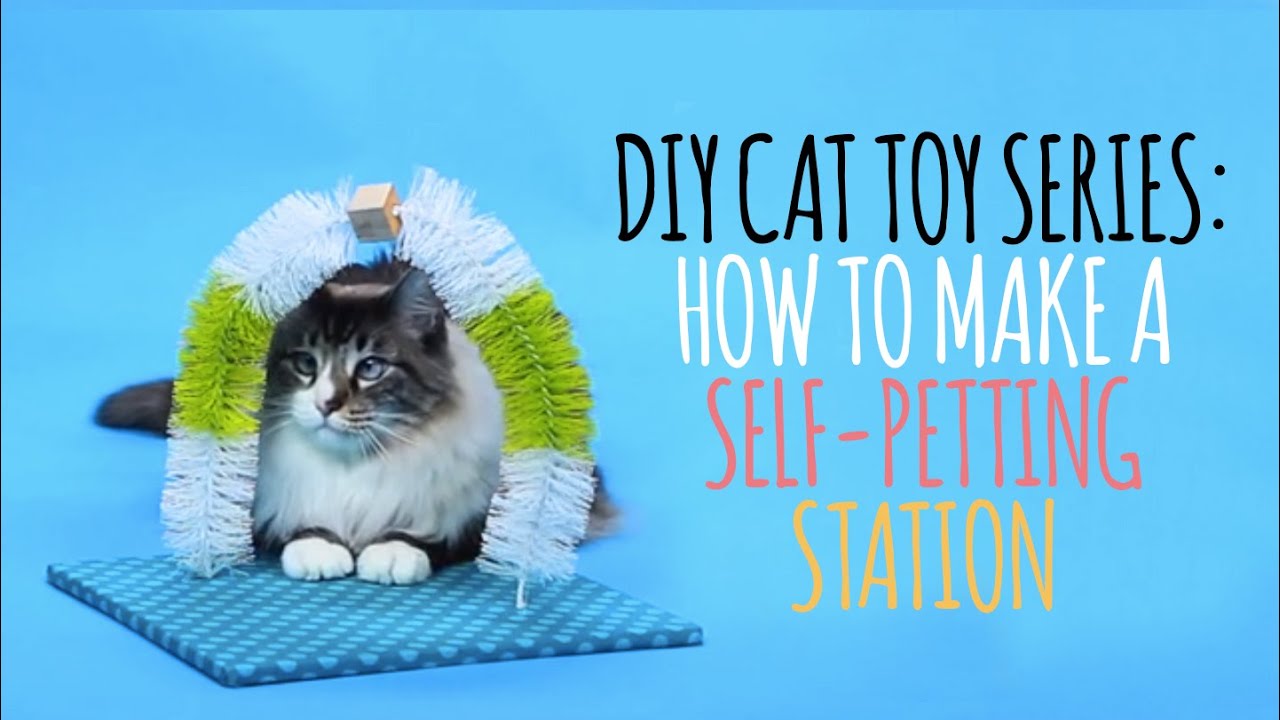 juguetes DIY para gatos que puedes hacer